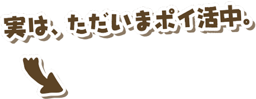 実は、ただいまポイ活中。